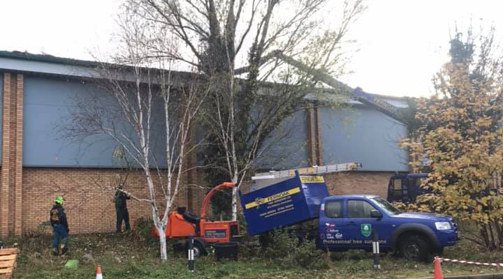Hedge cutting by men
